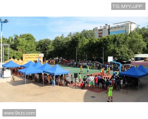台山篮球场的魅力与发展探讨以及对青少年体育的影响分析